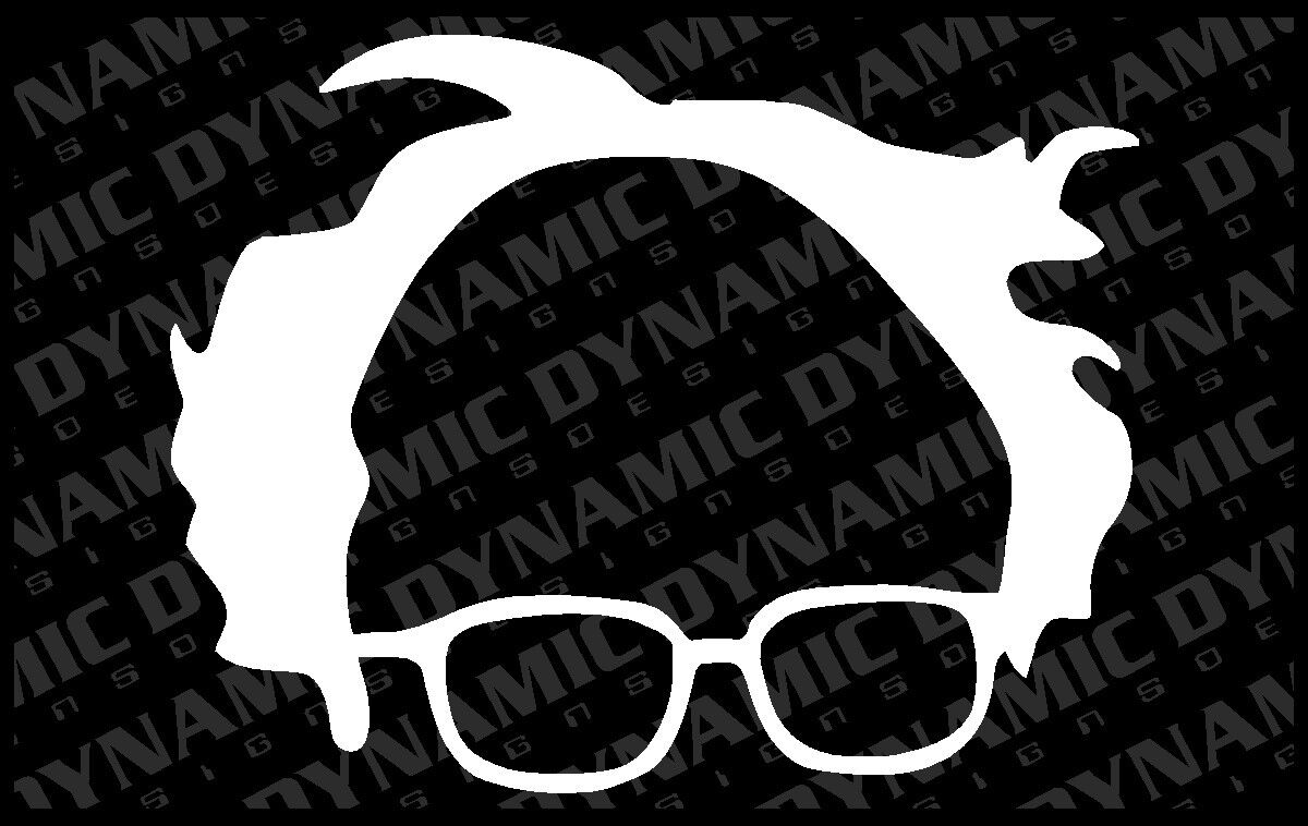 Large Bernie Sanders 2020 glasses sticker president democrat vinyl window decal