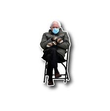 Bernie Sanders Sitting Mittens MEME 4