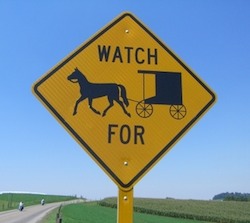 Amish Buggy Sign