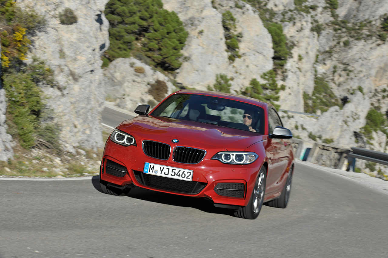 2013 BMW 2-Series Coupe (14)