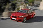 2013 BMW 2-Series Coupe (12)