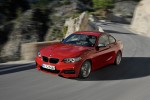 2013 BMW 2-Series Coupe (13)