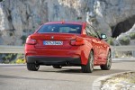 2013 BMW 2-Series Coupe (15)